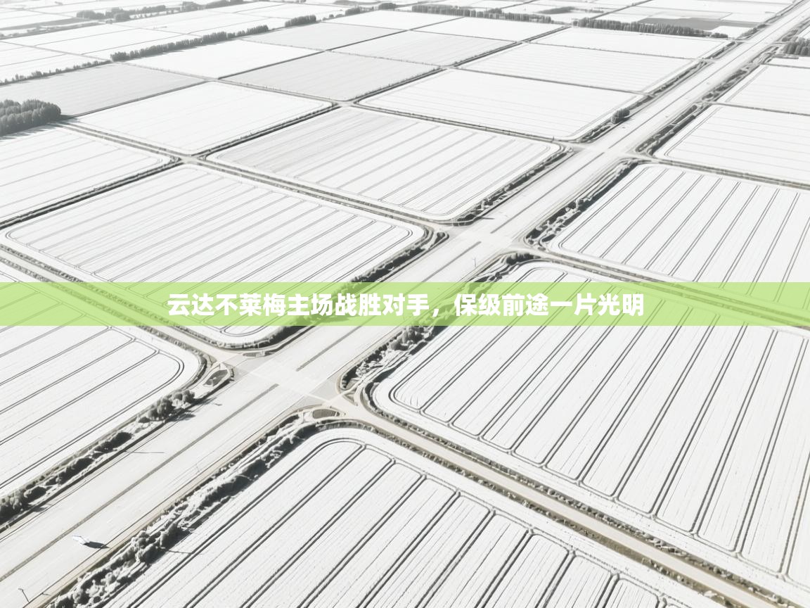 云达不莱梅主场战胜对手，保级前途一片光明